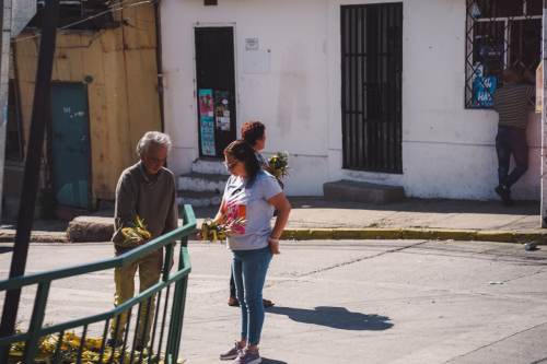 valparaiso-20230402-113736-DSC05548